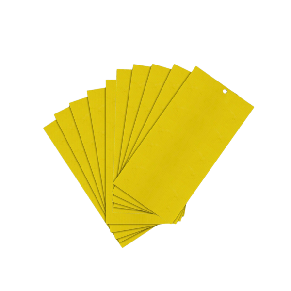 Gelbtafeln groß | 10 x 20 cm | 10 Stück | einzeln foliert